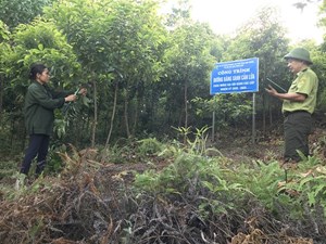 Bảo vệ rừng – “lá phổi xanh” trước diễn biến khắc nghiệt của thời tiết (28/07/2022) 